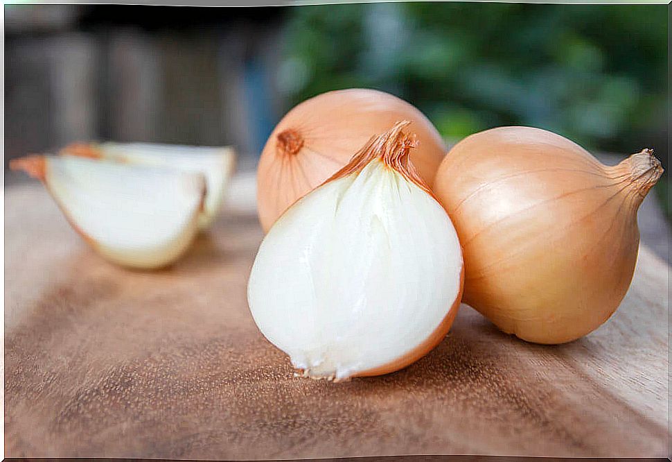 Onion