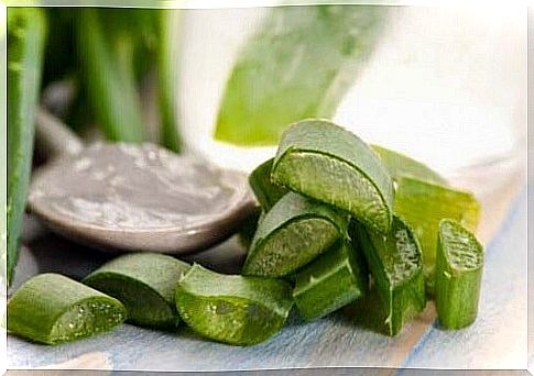 aloe vera chunks for sunburn