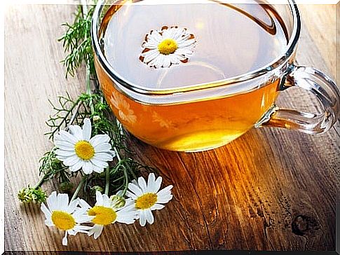 Chamomile infusion