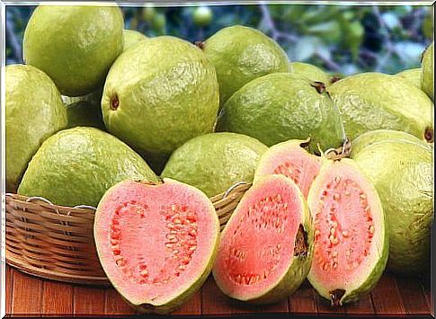 guava