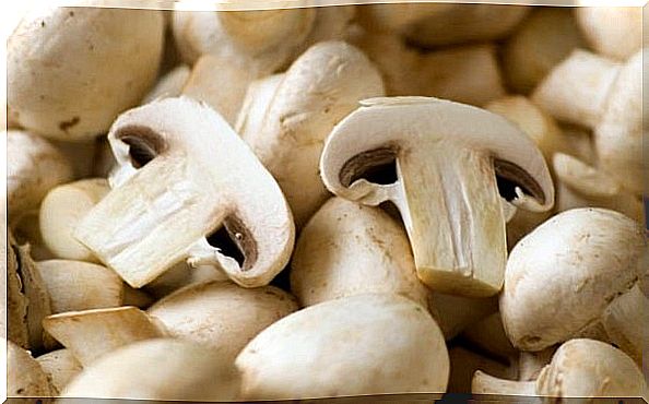 Mushrooms are part of the daily menus for a healthy diet