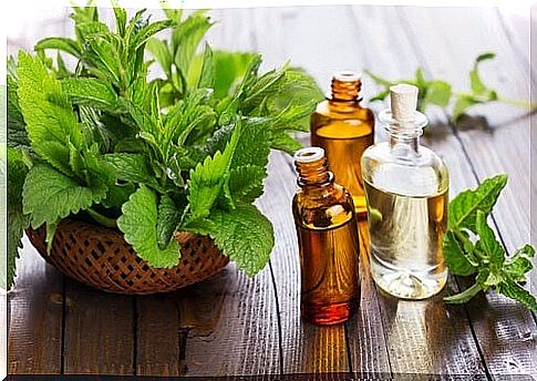 peppermint essential oil to combat hair loss