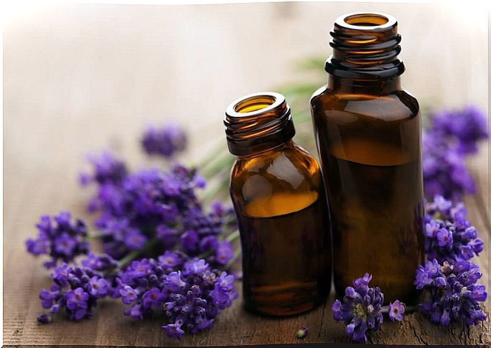 lavender to heal wounds on the skin