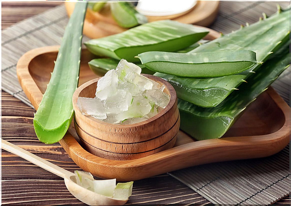 Aloe vera for shampoo.