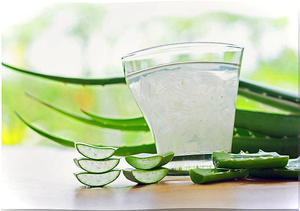 Glass with fresh aloe vera.