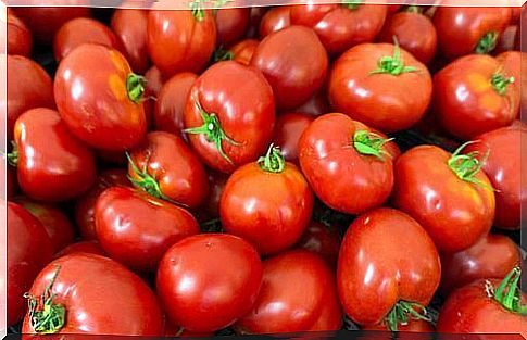 tomatoes