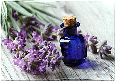 Lavender essential oil