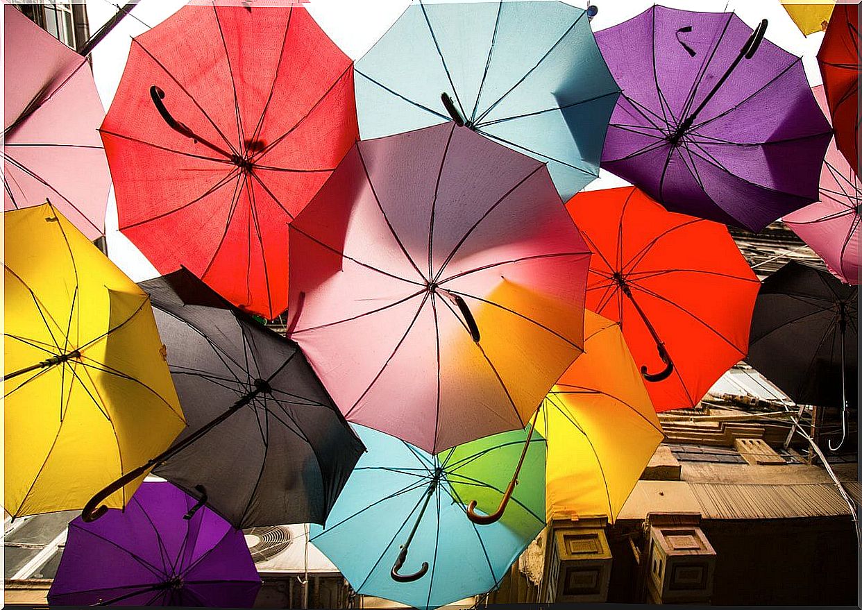 Colored umbrellas.