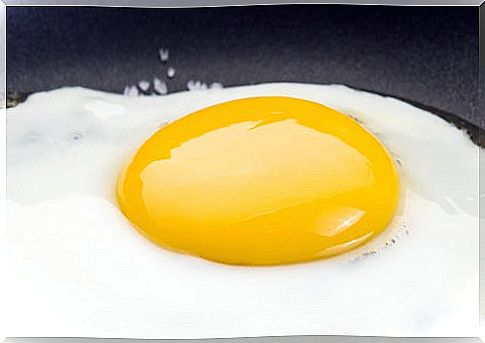 Egg