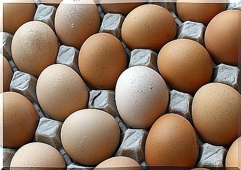 Eggs