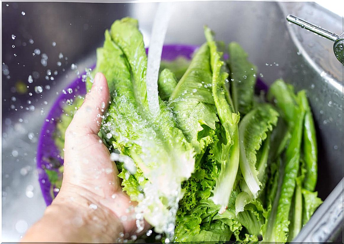 Washing the lettuce to keep it fresh for longer.