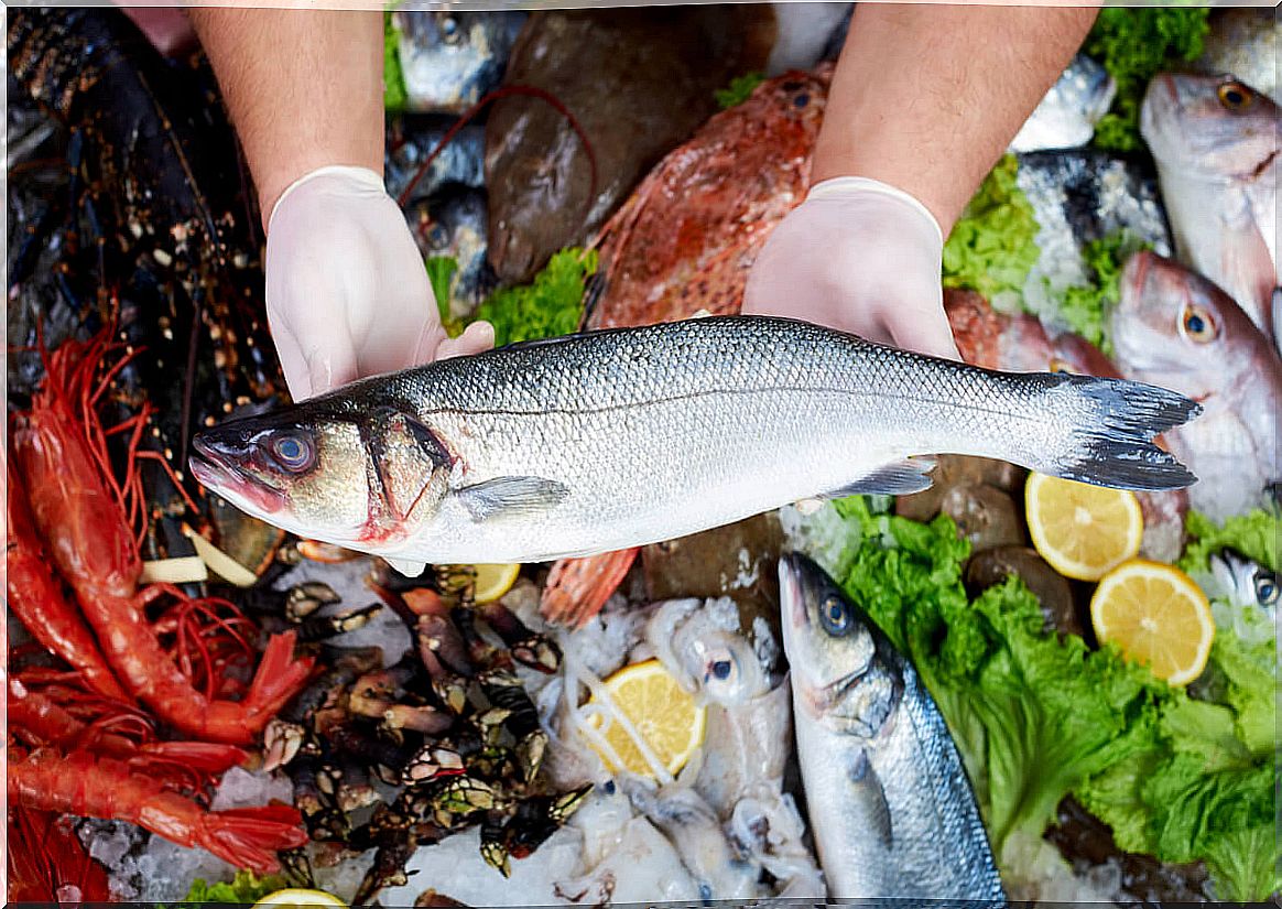 Sea bass in the market.