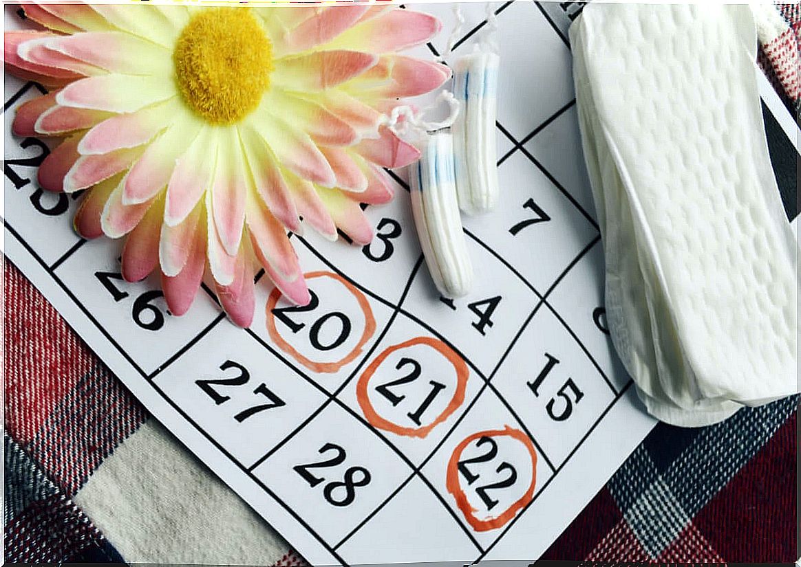 Menstruation calendar